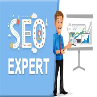 Hire SEO Expert in India